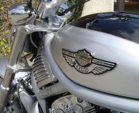 Harley-Davidson 1131 V-ROD VRSCA 2002 test drive
