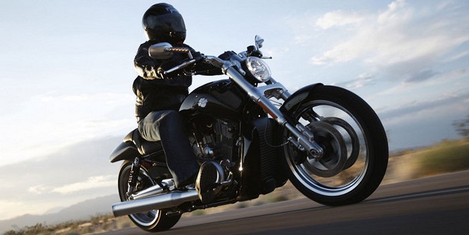 V-Rod Muscle