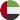 flag United Arab Emirates