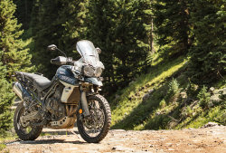 Triumph Tiger 800 XCx 2019